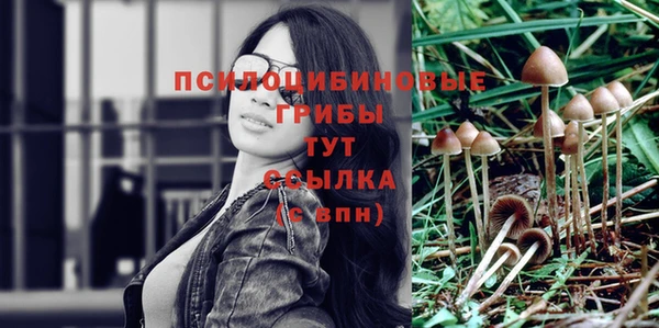 ECSTASY Богородицк