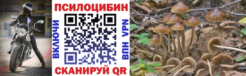 Псилоцибиновые грибы Psilocybine cubensis  купить закладку  Цимлянск 